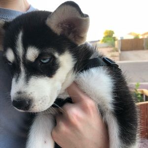 Meet your Posher, Danisha